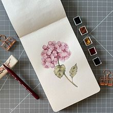 Mi Proyecto del curso: Cuaderno botánico en acuarela. Un projet de Illustration traditionnelle, Aquarelle, Illustration botanique , et Carnet de croquis de Carla - 02.06.2021