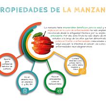 Propuesta de Infografía. Un proyecto de Infografía y Diseño gráfico de Ainhoa Sarmiento - 02.06.2021
