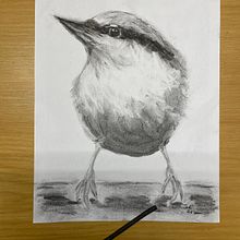 Vogel-Illustration. Traditional illustration project by Therese Keller - 06.02.2021