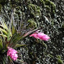 Meu projeto do curso: Fotografia para iniciantes: descubra sua câmera digital. Fotografia, Fotografia digital, e Composição fotográfica projeto de Aline Grohe Schirmer Pigatto - 03.06.2021