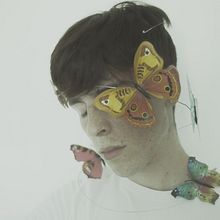 Dreamy butterflies. Un progetto di Fotografia di Claudio Turetta - 04.06.2021