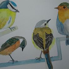 My project in Artistic Watercolor Techniques for Illustrating Birds course. Projekt z dziedziny Trad, c, jna ilustracja, Malowanie akwarelą, R, sunek realist, czn, Ilustracja naturalist i czna użytkownika Lilia Aras - 31.05.2021