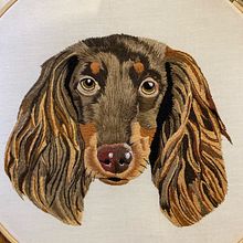 Mi Proyecto del curso: Needle painting para principiantes. Un proyecto de Bordado e Ilustración naturalista				 de Camila Carvajal Torres - 04.06.2021