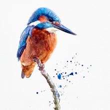 Watercolour kingfisher. Projekt z dziedziny Malowanie akwarelą użytkownika Sarah Stokes - 05.06.2021
