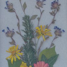  Belleza sin límites, . Un progetto di Belle arti, Collage, DIY, Design e Illustrazione tradizionale di luzk_pavez2 - 05.06.2021