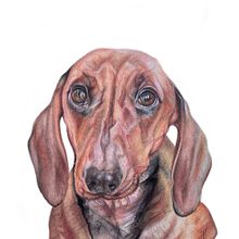 Mon projet du cours : Techniques expérimentales d’aquarelle pour débutants. Projekt z dziedziny Trad, c, jna ilustracja,  Sztuki piękne, Malowanie akwarelą, Ilustracja naturalist i czna użytkownika Martine Savart - 06.06.2021