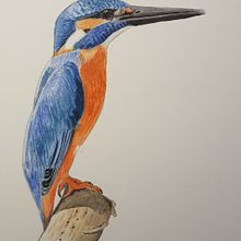 My first bird: Mein Kursprojekt: Illustriere Vögel mit expressiven Aquarelltechniken. Traditional illustration, Watercolor Painting, Realistic Drawing, and Naturalistic Illustration project by iwan - 06.06.2021