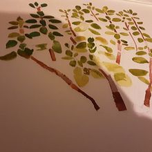 Succulents. Traditional illustration project by Cliona Ryan - 06.07.2021
