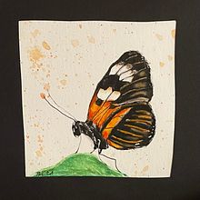 Aquarell Schmetterling. Traditional illustration, and Painting project by Therese Keller - 06.07.2021