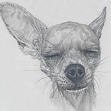 Meus projetos do curso: Retrato realista com lápis grafite. Een project van Traditionele illustratie,  Beeldende kunst,  Schetsen, Tekening met potlood,  Tekening,  Portrettekening, Realistische tekening,  Artistieke tekening y Anatomisch tekenen van Débora de Oliveira Cintra e Silva - 17.05.2021