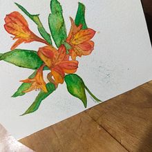 Mi Proyecto del curso: Acuarela botánica: ilustra la anatomía de las flores. Un proyecto de Ilustración tradicional, Bellas Artes, Pintura, Dibujo, Pintura a la acuarela e Ilustración botánica de danielagv_artistaplastica - 05.06.2021