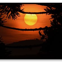 Save the Water Ein Projekt aus dem Bereich Kino, Video und TV von Bernardo Rodrigues - 08.06.2021