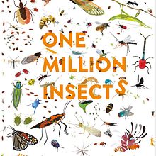 One Million Insects. Writing project by Isabel Thomas - 06.08.2021
