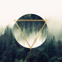 Bosque desde otra perspectiva. Design, Traditional illustration, and Photograph project by Laura Guerrero Baltasar - 06.09.2021
