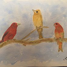 My project in Artistic Watercolor Techniques for Illustrating Birds course. Traditional illustration, Watercolor Painting, Realistic Drawing, and Naturalistic Illustration project by Shirley Hallman - 06.09.2021