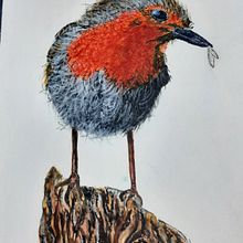 Introduction Ein Projekt aus dem Bereich Traditionelle Illustration von Debra Sallaway - 06.06.2021