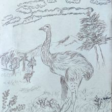 Inside Stories: The Moa. Un progetto di Scrittura, Creatività, Stor e telling di Sabine Algur - 09.07.2020