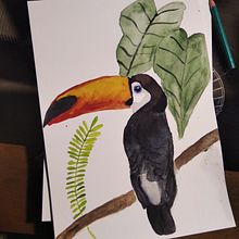 Aquarela s. Ilustração tradicional projeto de Isabela Poscidonio Santos - 10.06.2021