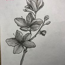 Mi Proyecto del curso: Tatuaje para principiantes. Tattoo Design project by Mórlin Da’ Costa Gomez - 06.10.2021