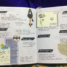 Mi Proyecto del curso:  Bullet journal creativo: planificación y creatividad . Traditional illustration, Lettering, Drawing, H, and Lettering project by Pamela Aguilera - 06.12.2021