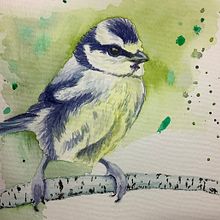 My project in Artistic Watercolor Techniques for Illustrating Birds course. Traditional illustration, Watercolor Painting, Realistic Drawing, and Naturalistic Illustration project by caareroot - 06.12.2021