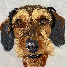 Cebolas, o meu projecto de curso. Embroider, and Naturalistic Illustration project by Ana Carolina - 06.13.2021