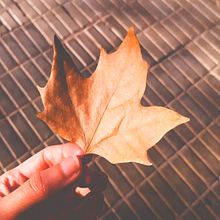 otoño y las sensaciones que me causa. Colores y texturas . Fotografi, Arsitektur Lanskap, Dan Media Sosial proyek oleh Megam Mori - 06.10.2021