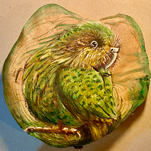 New Zealand Birds. Painting project by silversong - 06.13.2021