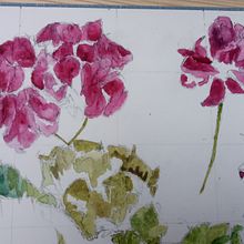 Geraniums. Traditional illustration project by Cliona Ryan - 06.14.2021
