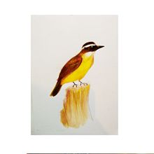 Mi Proyecto del curso: Ilustración naturalista de aves con acuarela. Traditional illustration, Watercolor Painting, Realistic Drawing, and Naturalistic Illustration project by medios.fire - 06.14.2021