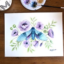 Mi proyecto: Dibujo y composición naturalista en acuarela. Polilla y amapolas Ein Projekt aus dem Bereich Traditionelle Illustration, Zeichnung, Aquarellmalerei und Naturalistische Illustration von Mariana Esquer - 13.06.2021