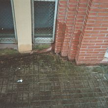 ¿Se lo puedo dejar en el ascensor? Ein Projekt aus dem Bereich Fotografie und Dokumentarfotografie von Gal Wachs - 15.06.2021