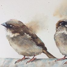 My project in Artistic Watercolor Techniques for Illustrating Birds course. Projekt z dziedziny Malowanie akwarelą użytkownika linzi18 - 15.06.2021