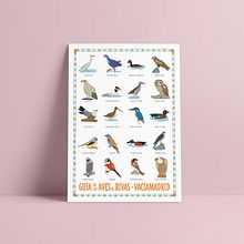 Guía de aves de Rivas Vaciamadrid . % eluguina tarafından hazırlanan Geleneksel illüstras, on, Ve Grafik Tasarım projesi - 06.11.2021