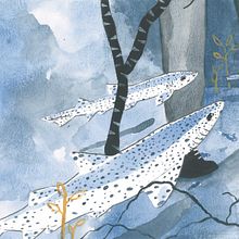 Weird Fishes. Traditional illustration, Children's Illustration, Editorial Design, and Editorial Illustration project by La Noga - 06.16.2021