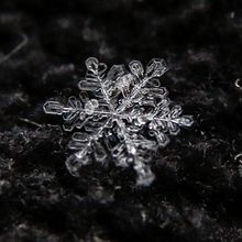 SnowFlake, Macro extremo. Un proyecto de Fotografía de Sergio Gómez - 08.02.2021