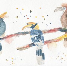 Mon projet du cours : Techniques artistiques d'aquarelle pour illustrer les oiseaux. Traditional illustration, Watercolor Painting, Realistic Drawing, and Naturalistic Illustration project by pynsodo - 06.17.2021