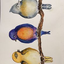 My project in Artistic Watercolor Techniques for Illustrating Birds course. Watercolor Painting, Traditional illustration, Realistic Drawing, and Naturalistic Illustration project by judy - 06.17.2021