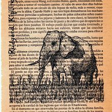 Cuentos de criaturas y especies que no existen o son variantes de mitos. Projekt z dziedziny Trad, c i jna ilustracja użytkownika Marcos Pachado - 18.06.2021