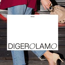 Digerolamo — Visual Identity & website. Graphic Design, Art Direction, Web Design, and Web Development project by Clara Briones Vedia - 06.18.2021