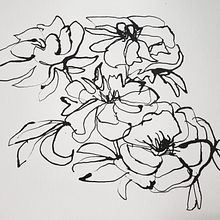 Peonies.  My project in Illustrating Nature: A Creative Exploration course. Traditional illustration, Painting, Drawing, Watercolor Painting, Ink Illustration, and Naturalistic Illustration project by ingridf - 06.18.2021