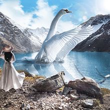 Mi Proyecto del curso: Fotomontaje surrealista con Photoshop . Photograph, Post-production, Photo Retouching, Digital Photograph, Photographic Composition, and Photomontage project by Mohammed Al talib - 06.18.2021