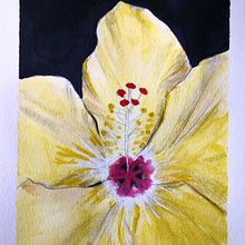 My project in Botanical Illustration with Watercolors course. Traditional illustration, Fine Arts, Painting, Drawing, Watercolor Painting, and Botanical Illustration project by Pepper Pepper - 06.18.2021