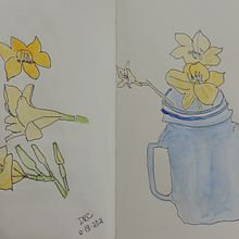 My project in Botanical Sketchbooking: A Meditative Approach course. Traditional illustration, Sketching, Drawing, Watercolor Painting, Botanical Illustration, and Sketchbook project by Dee Renee Chesnut - 06.16.2021