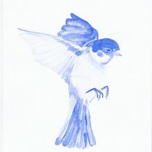Mi Proyecto del curso: Técnicas experimentales de acuarela para principiantes  Ein Projekt aus dem Bereich Traditionelle Illustration, Bildende Künste, Aquarellmalerei und Naturalistische Illustration von Aless J. M. - 19.06.2021
