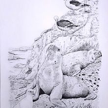 Obra seleccionada para el concurso de ilustración naturalista y científica ILLUSTRACIENCIA 8 (2021). Un proyecto de Ilustración naturalista				 e Ilustración con tinta de Juan de Souza - 20.06.2021
