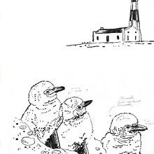 Pinguiinos  en la Reserva Cabo Virgenes (Santa Cruz, Argentina).  PATAGONIA. Sketchbook, Ink Illustration, and Sketching project by Juan de Souza - 06.20.2021