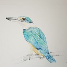 My project in Naturalist Bird Illustration with Watercolors course. Un projet de Illustration traditionnelle, Aquarelle, Dessin réaliste et Illustration naturaliste de Ilse van Staden - 20.06.2021