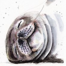 Seal in the sun - my sunday-feeling today Ein Projekt aus dem Bereich Aquarellmalerei von Tina Ritter - 20.06.2021