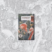 Packaging Design: Honest Chocolate. Traditional illustration, Design, Br, ing, Identit, Fine Arts, Graphic Design, Packaging, Painting, Creativit, and Gouache Painting project by Anke-Mari Geldenhuys - 06.21.2021
